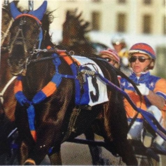 Meet your Posher, Jim - Picture 1 of 1